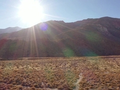 Chris Damned & Dante Colle G