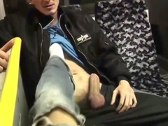 Wolf, fellow, blow-job