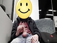 Wanking and Cumming in the train