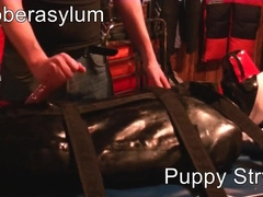 Bondage tails #2: Rubber Puppy Cock Electrified and Milked