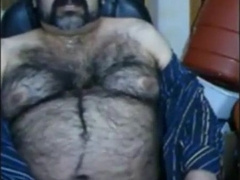 Big hairy bear and hairy body 7