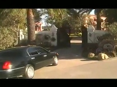 G-Project - Ggv-007 Muscle 40