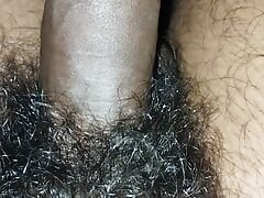 Black Asian penis, black cock, boy penis, kala land, favorite penis for girls, Asian cock, short penis, kala supara, miamelacock