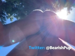 Outdoor Hike And Bear Breeding On A Mountaintop