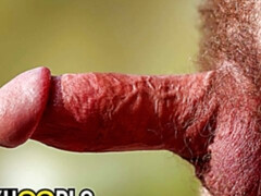 Muscular Andy Mcbride cums in a hot solo scene