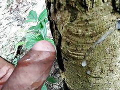 Indian handjob in forest on outdoor side and cumshot on tree