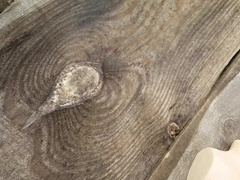 Pleeeeeease dont Stop jizm inwards