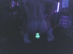 glow toy