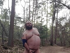 Chubby bear in the woods