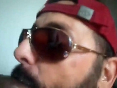 Bezerro carioca mamando os machos 2