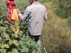 Indian Threesome Gay Field Movie A Unique Story Of A Farming Farmer And A Biker In Hindi With City Boy And Sugar Cane