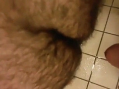 BEARS IN HAVE FUN HOTEL 2