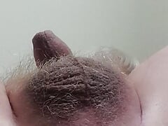 Toy in Ass, Small Cock Masturbation