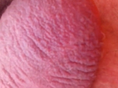 Grandfathers Monstrous Ball