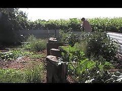 man the mask garden courgette 36