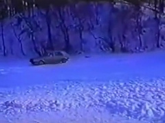 Schneegestober (bleisch) -snowstorm