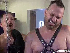 Polar otter and others gangbang cock-squeezing arse