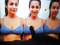 Malaika arora khan cum tribute banged hard & jizzed in cum