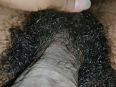 Touching hairy dick at night