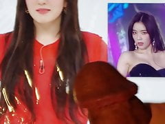 Irene Red Velvet Cum Tribute