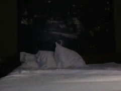 Hidden - Str8 Blue Collar Stops By Hotel