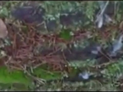 Str8 German soldiers first time swallow cum 6