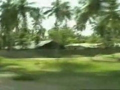 Black African Gold Hardcore