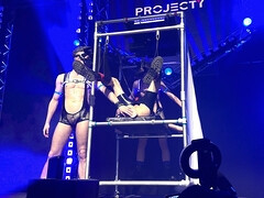 Live Doggy Porn Show