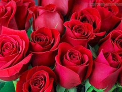 Mature, bangladeshi, gay porn