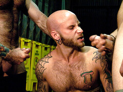 Tattooed baldie is tied as three dominant studs use him