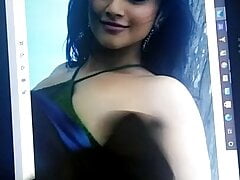 Megha Akash Yummy Armpits