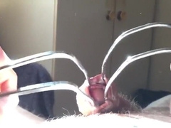 when I'm on vaca, I'll think of you