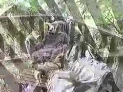 Fabulous male in best twinks, handjob gay xxx scene