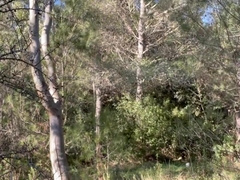 Nasty dude piss and masturbating outdoor in the forest