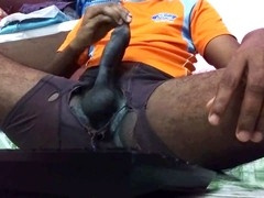 Solo, shower, big bears