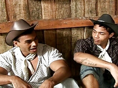 Dirty and hot cowboys are so good and wild