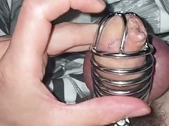 Boyfriend Cumming in Chastity While im Fucking With Bull