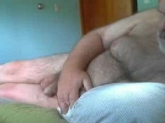 Furry Silver Fox on Webcam