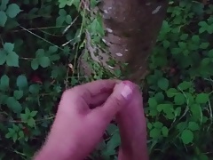 Moaning outdoor cumshot