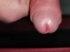 Morning Glory March 16th 2021