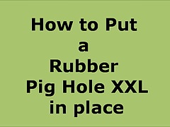 How to place a Oxball Pig Hole XXL