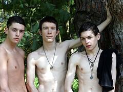 Skinny boys please each other in outdoor anal threesome