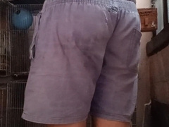 Sinumpong na kalibugan habang nagpapakain ng ibon ni tito