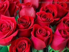 Bangladeshi, ai, hd videos