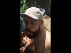 Bear cruising in the woods