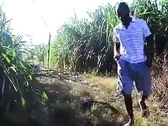 dominican monster.mp4
