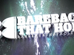 Stephen Harte - Bred By Bear Tony Darimma