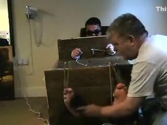 English tickle wolf Pt two