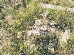 Woods jizz. Walk with final climax