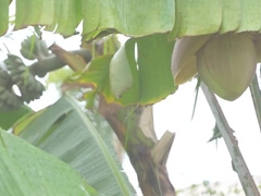 Hot Stud Fucking Blond Boy